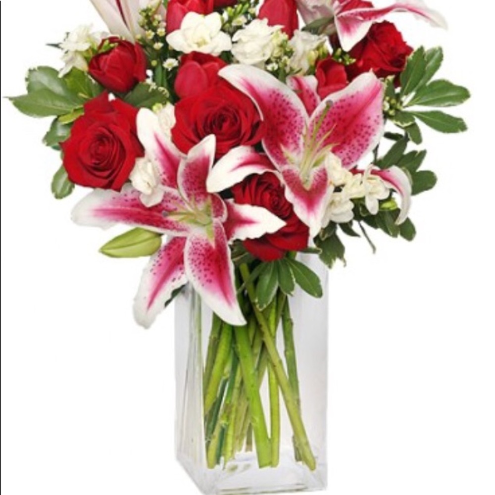 Meet your Posher, Vanisa